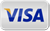 Visa payment icon